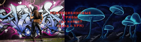 тгк Лагань